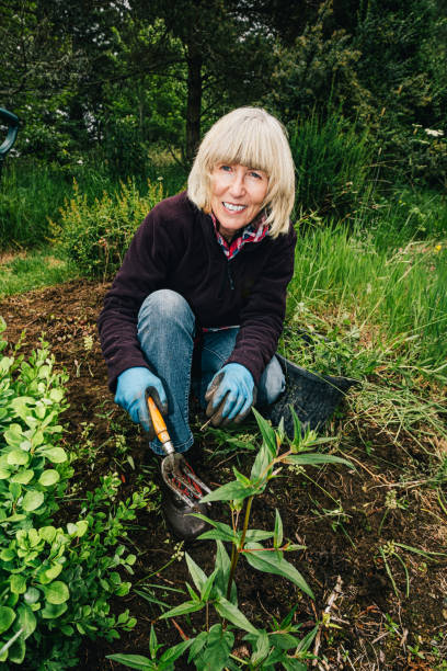 istock Let's get the weeds out of here 1203493093