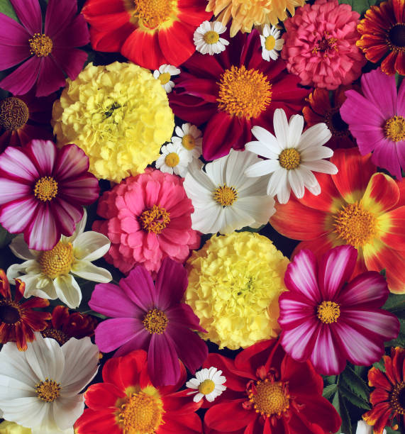 Flower arrangement