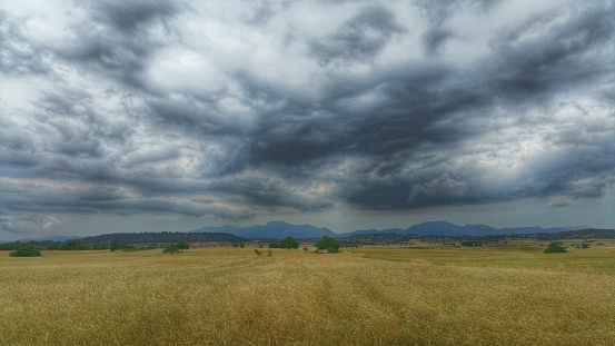 Wheat field before a spring storm. Photo taken near a village in the interior of Mallorca. Sineu is an inland farming village.