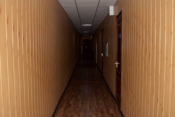 istock The corridor leading into the dark. 1203496180