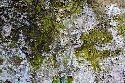 green grunge wet obsolete flat wall texture and background.