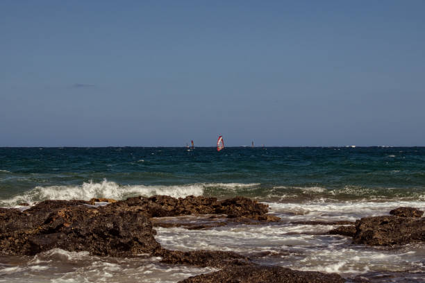 istock Windsurfing in the Malta Coasts 1203504376