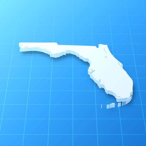 Florida 3D Map on blue background 3D map of Florida isolated on a blank blueprint, with a dropshadow (color used: blue and white). Vector Illustration (EPS10, well layered and grouped). Easy to edit, manipulate, resize or colorize. florida us state stock illustrations