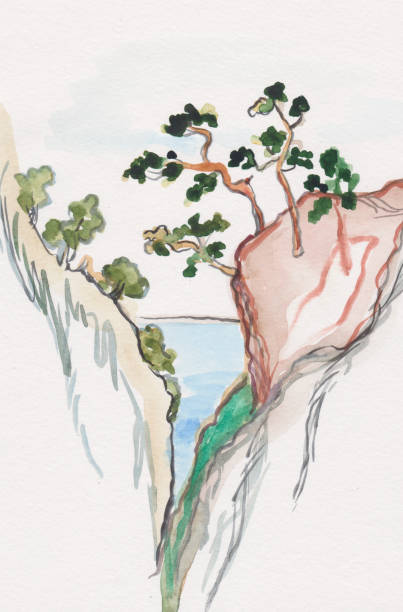 ilustrações, clipart, desenhos animados e ícones de pinheiros altos - illustration and painting stone beach cliff