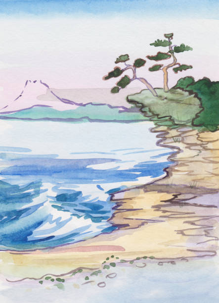 ilustrações, clipart, desenhos animados e ícones de pinheiros perto do mar - illustration and painting stone beach cliff