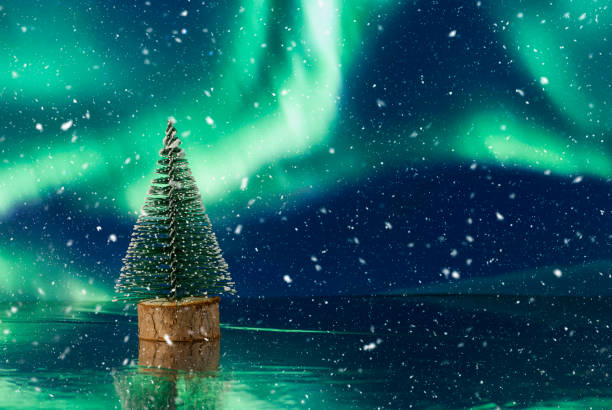 istock Christmas composition with Christmas tree against holiday lights background 1203508285