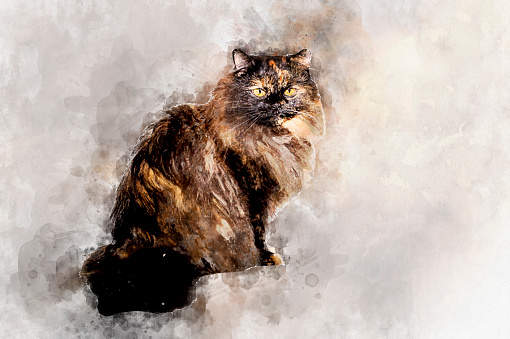 Fluffy black-haired cat sitting and looking sadly . Stylization in watercolor drawing