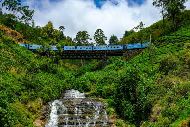 nanu oya in sri lanka - nuwara eliya stock-fotos und bilder