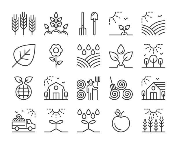 stockillustraties, clipart, cartoons en iconen met pictogram boerderij. landbouw en landbouw lijn pictogrammen set. bewerkbare lijn. - wheat