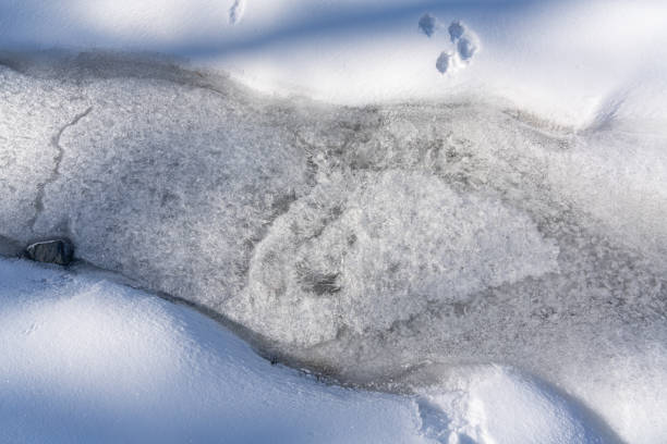 istock Channel of a frozen mountain river 1203511472