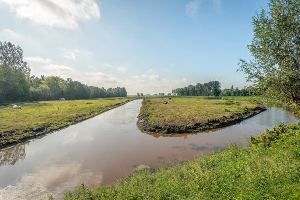 dutch polder landscape with ditches - alblasserwaard imagens e fotografias de stock