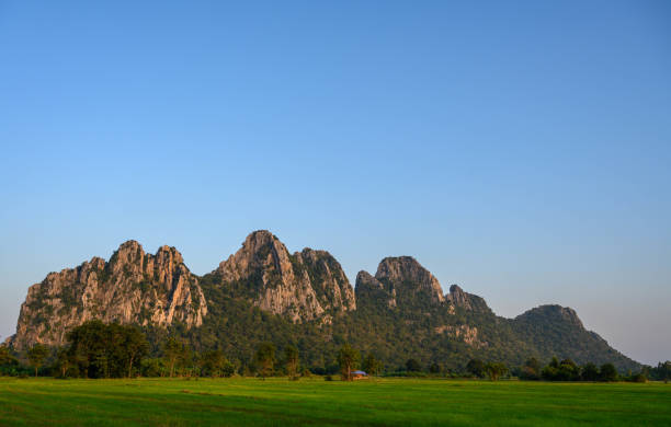 Rice Field and Mountain in the Central of Thailand. stock photo