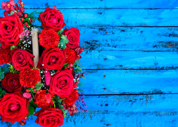 Red Roses on Blue Board. stock photo