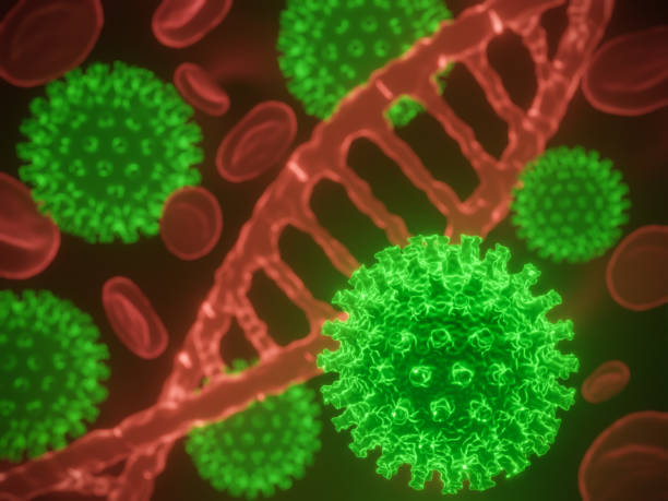 istock Coronavirus cells in human body. 1203520166