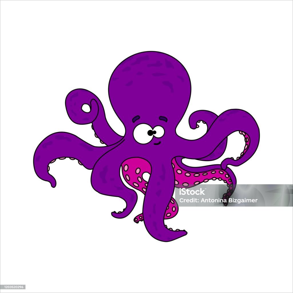 Bạch Tuộc Bạch Tuộc Mỉm Cười Với Suckers Trên Xúc Tu Bạch Tuộc ...