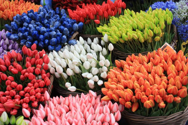 オランダのアムステルダムの店でオランダの花の多くの花束 - florist supermarket flower bouquet ストックフォトと画像