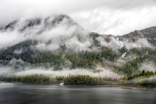 Heavy mist over a fjord shoreline forest area.