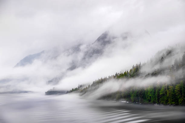 istock Misty Fjord Shoreline, Alaska 1203523617