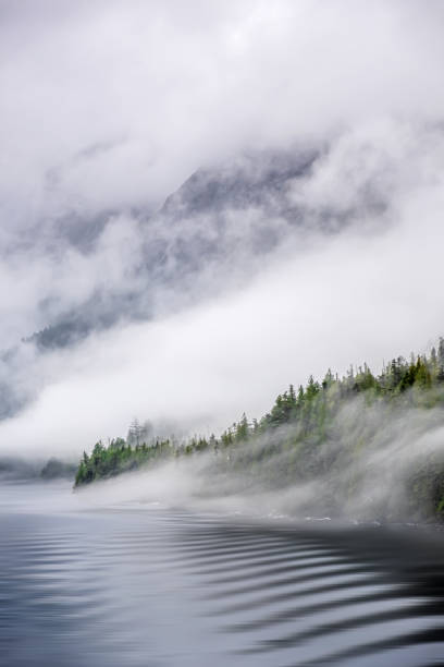 istock Misty Fjord Shoreline, Alaska 1203523702