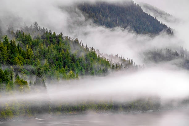 istock Misty Fjord Shoreline, Alaska 1203523741