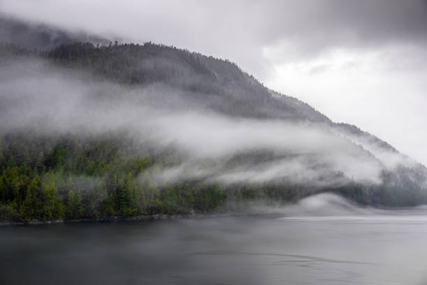 istock Misty Fjord Shoreline, Alaska 1203523810