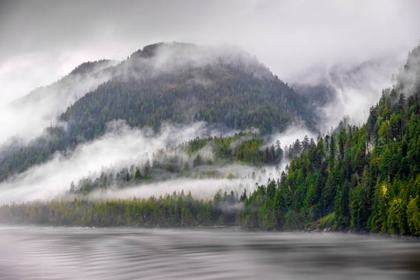 istock Misty Fjord Shoreline, Alaska 1203523866