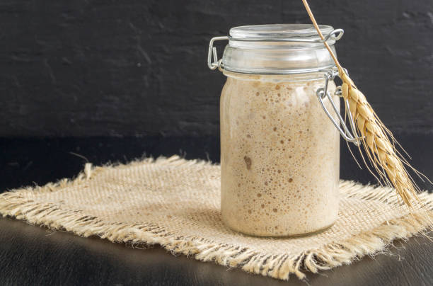 istock Active rye sourdough in a glass jar for homemade bread. 1203524398