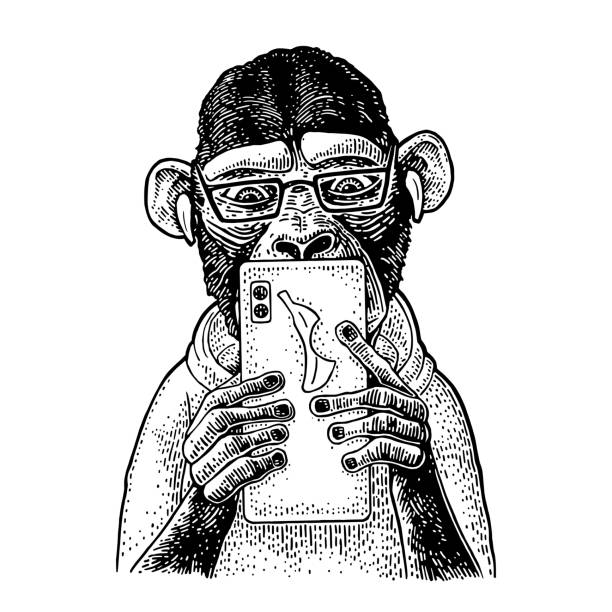 ilustraciones, imágenes clip art, dibujos animados e iconos de stock de mono vestido con la sudadera con capucha sosteniendo el teléfono inteligente. grabado vintage - telephone chimpanzee monkey on the phone