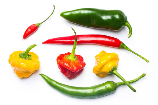 Chili Papper. Colorful Chilli Peppers Isolated on White Background