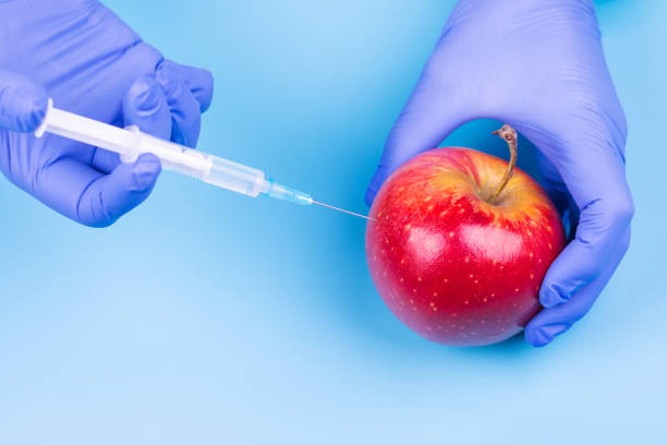 injection into an apple. a hand in a medical glove with a syringe on a blue background. genetic modified foods. - injecting healthy eating laboratory dna imagens e fotografias de stock