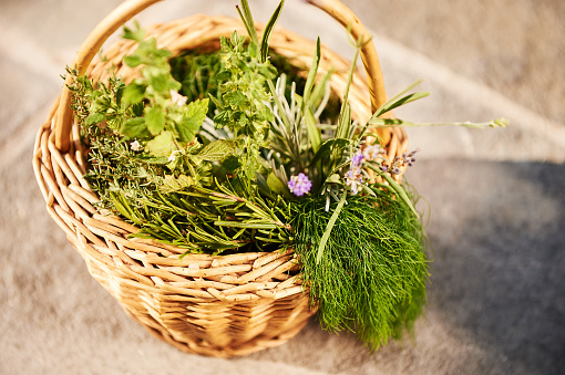 different herbs in a basket