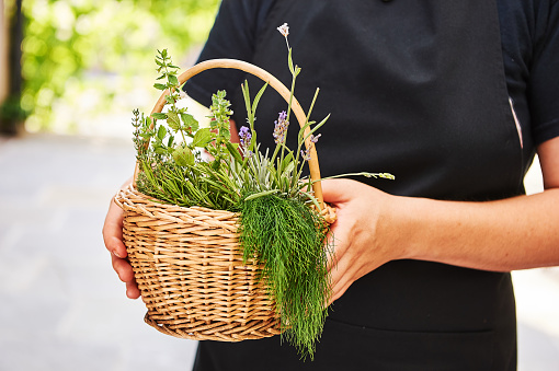 Young woman holding basket with different herbs