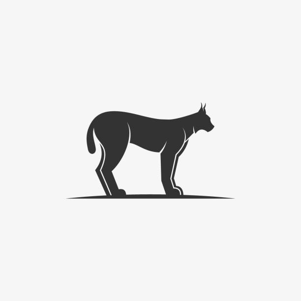 vektor-illustration lynx schaut vorwärts schwarze farbe. - säugetier stock-grafiken, -clipart, -cartoons und -symbole