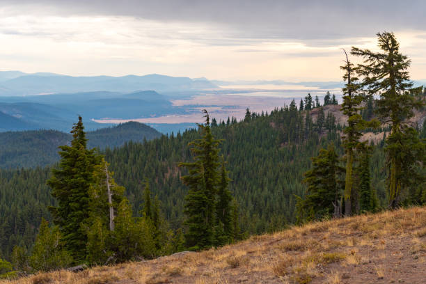 istock Forests, lake and storm clouds seen from Crater Lake 1203529106