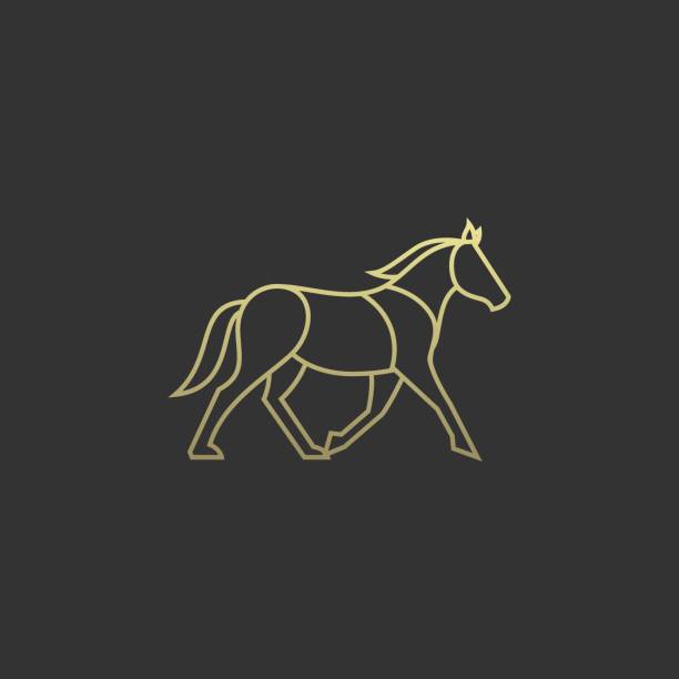 ilustraciones, imágenes clip art, dibujos animados e iconos de stock de ilustración vectorial viene arte de la línea del caballo. - mamífero