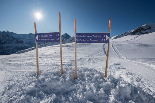 istock signpost swiss alps 1203530244