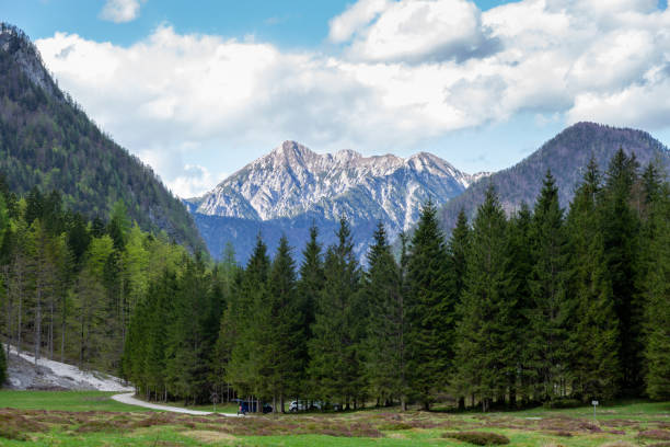 istock Krma valley in the Slovenian Alps 1203530266