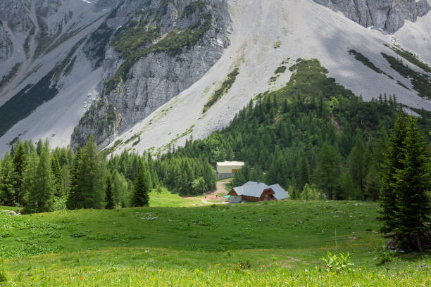 istock Zelenica pasture above Ljubelj Slovenia 1203530356