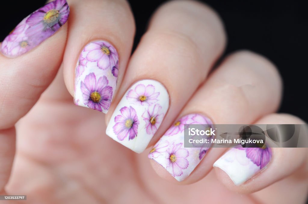 White Manicure With Purple Floral Print On Black Background Stock Photo - Download Image Now - iStock White Manicure With Purple Floral Print On Black Background Stock Photo - Download Image Now - iStock