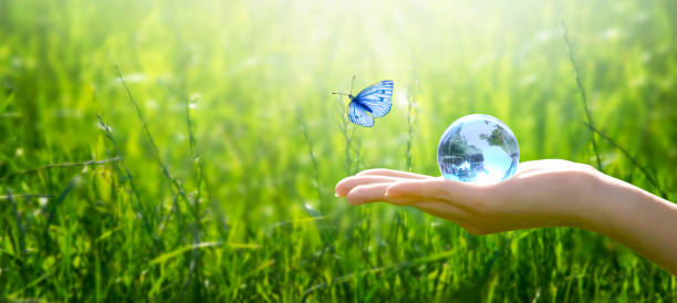 Card for World Earth Day concept. Saving environment and clean green planet. Earth globe in hand and flying butterfly on grass background.