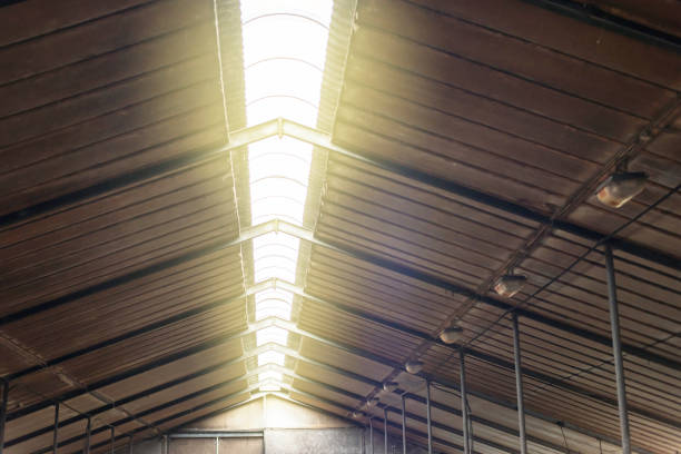 Roof light in old cattle shed.