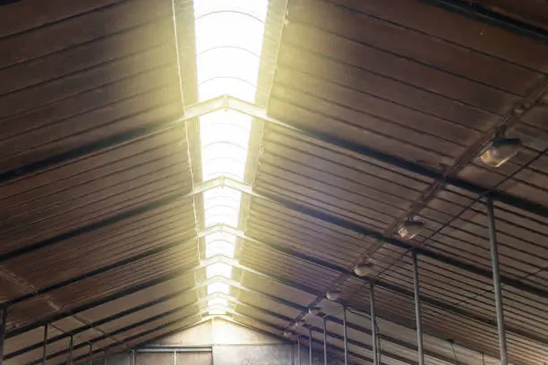 Photo of Roof light in old cattle shed.