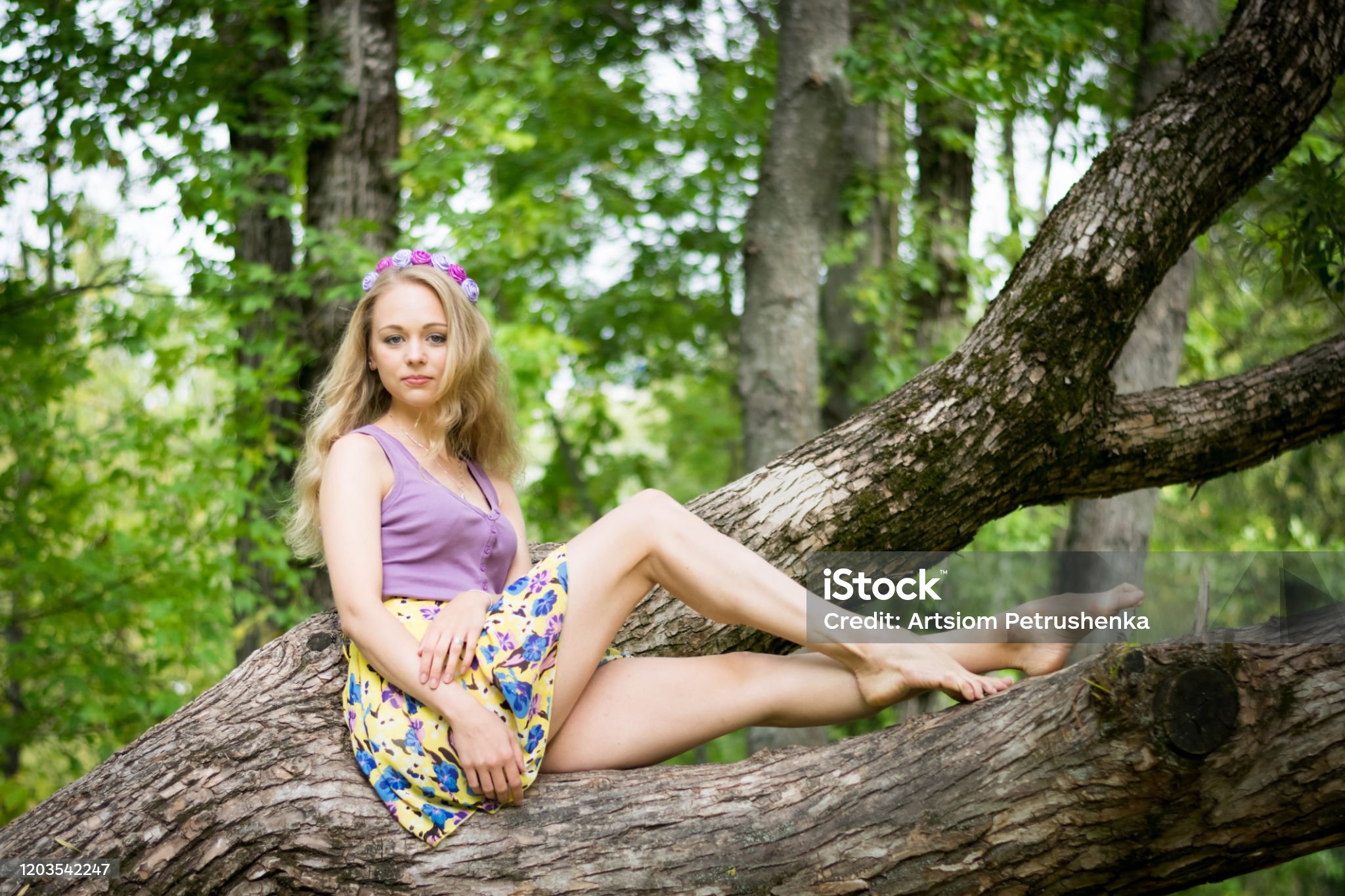 https://media.istockphoto.com/id/1203542247/photo/girl-with-beautiful-legs-sitting-on-a-tree.jpg?s=2048x2048&amp;w=is&amp;k=20&amp;c=zCpyi-L8hE3BmRqsFdNqzoI4lTHqbJFABB1Q14vreVs=