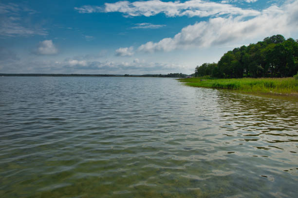 landscape with a lake in the summer