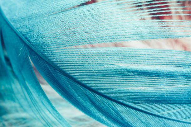 istock Beautiful Blue trends  feather pattern texture background. Macro photography view. 1203549635