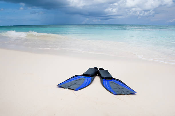 istock Coconut with black sunglasses and blue flippers on white sand 120355427