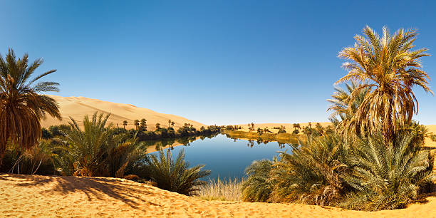 「umm al -ma 湖の砂漠のオアシス、サハラ、リビア - africa color image nature arid climate ストックフォトと画像