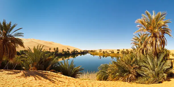 Umm al-Ma Lake - Idyllic oasis in the Awbari Sand Sea,  Sahara Desert, Libya
