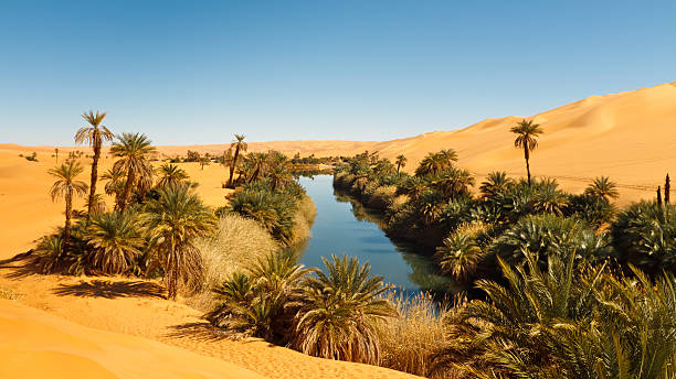 umm al-ma lake-oase in der wüste sahara, libyen - ubari stock-fotos und bilder