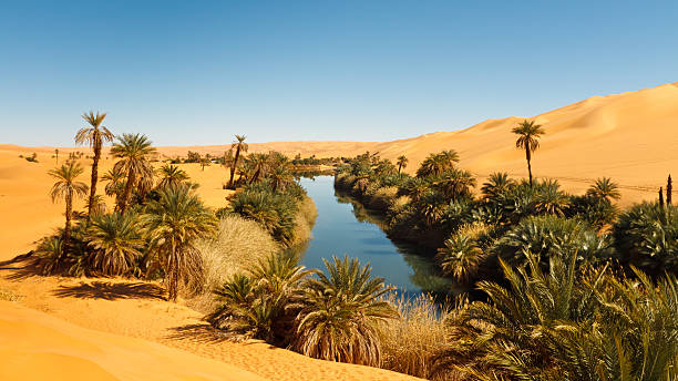A Desert Oasis in Sahara, Libya Umm al-Ma Lake - Idyllic oasis in the Awbari Sand Sea, Sahara Desert, Libya desert oasis stock pictures, royalty-free photos & images